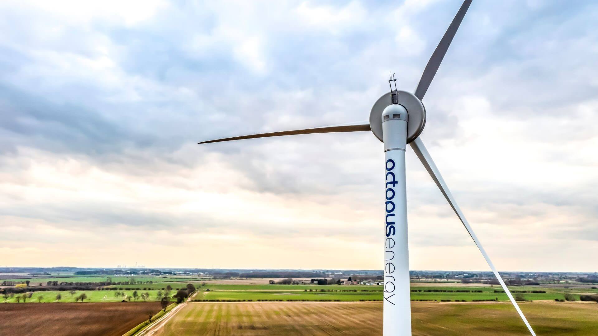 Wind turbine in a field