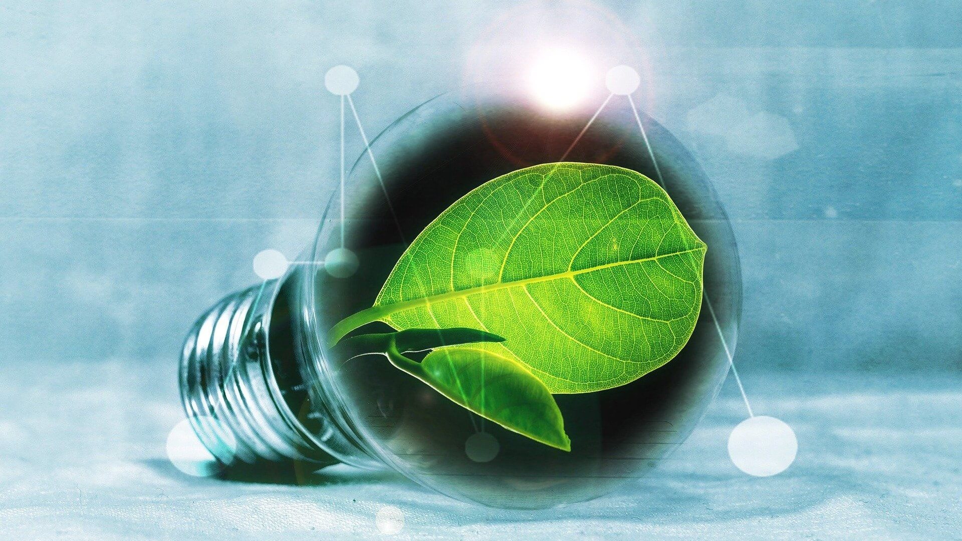 Picture of lightbulb with green leaf inside