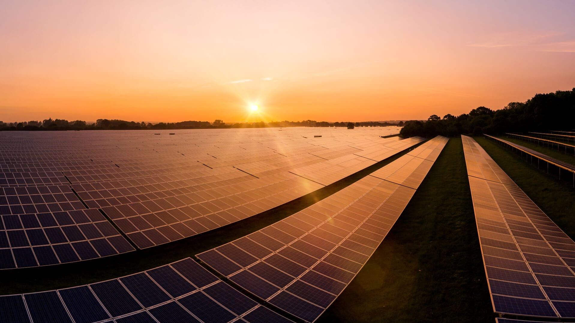 Solar panels at sunset in a field in the UK