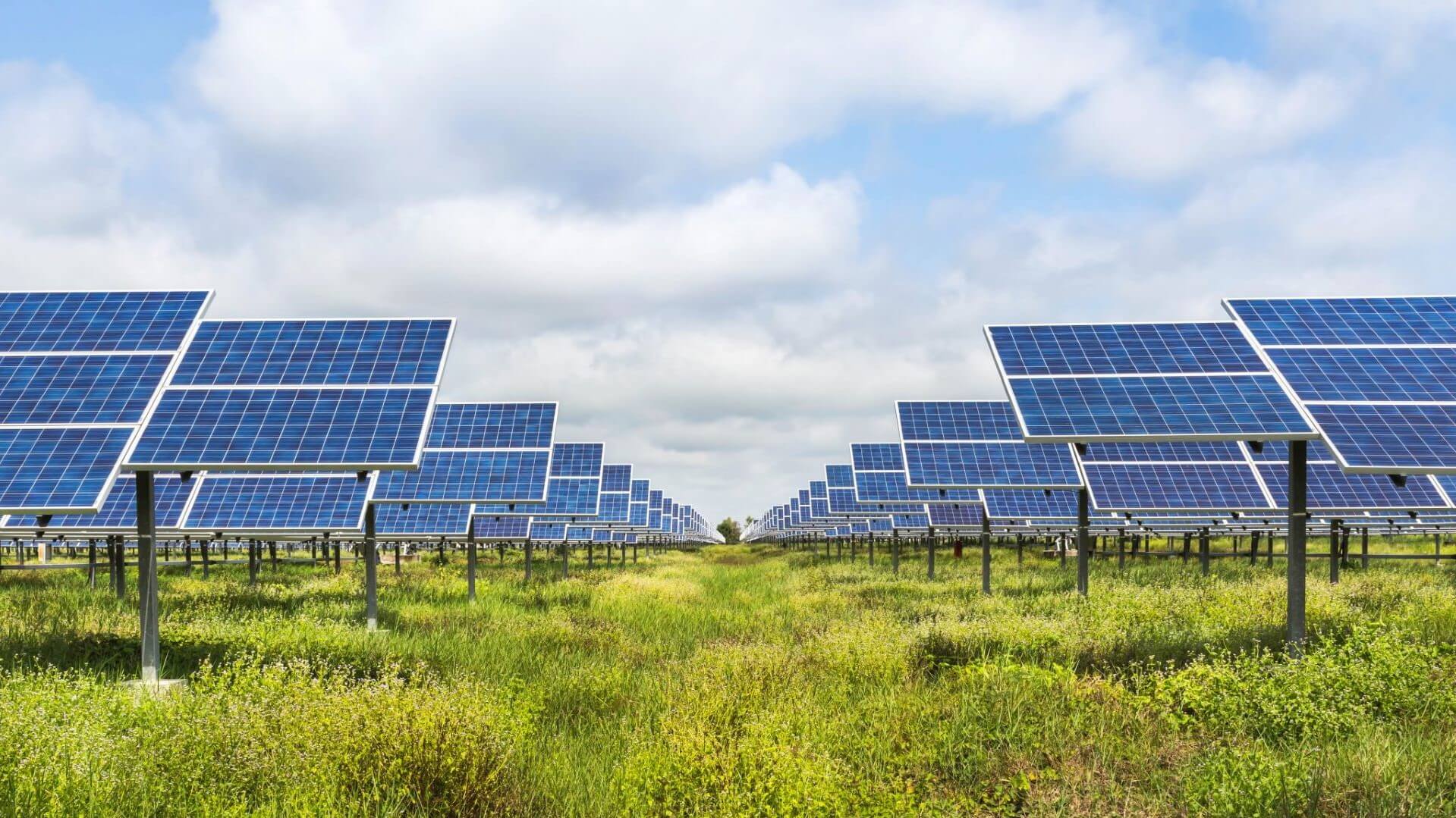 Rows of solar panels on grassy ground set against bright sky