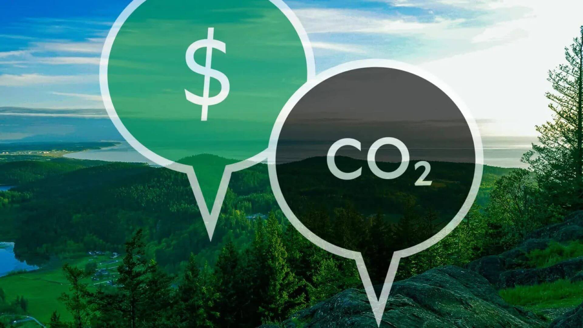 Green trees emitting green speech bubble with US dollar sign and black speech bubble with carbon dioxide chemical symbol