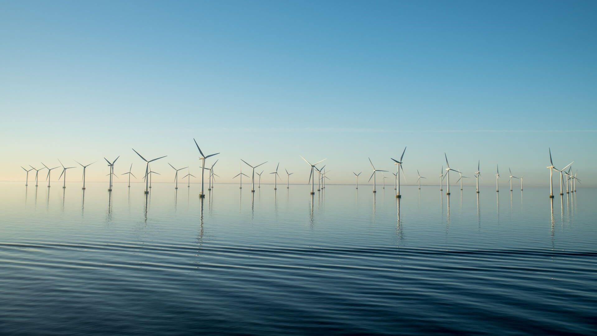 Offshore wind farm with calm sea