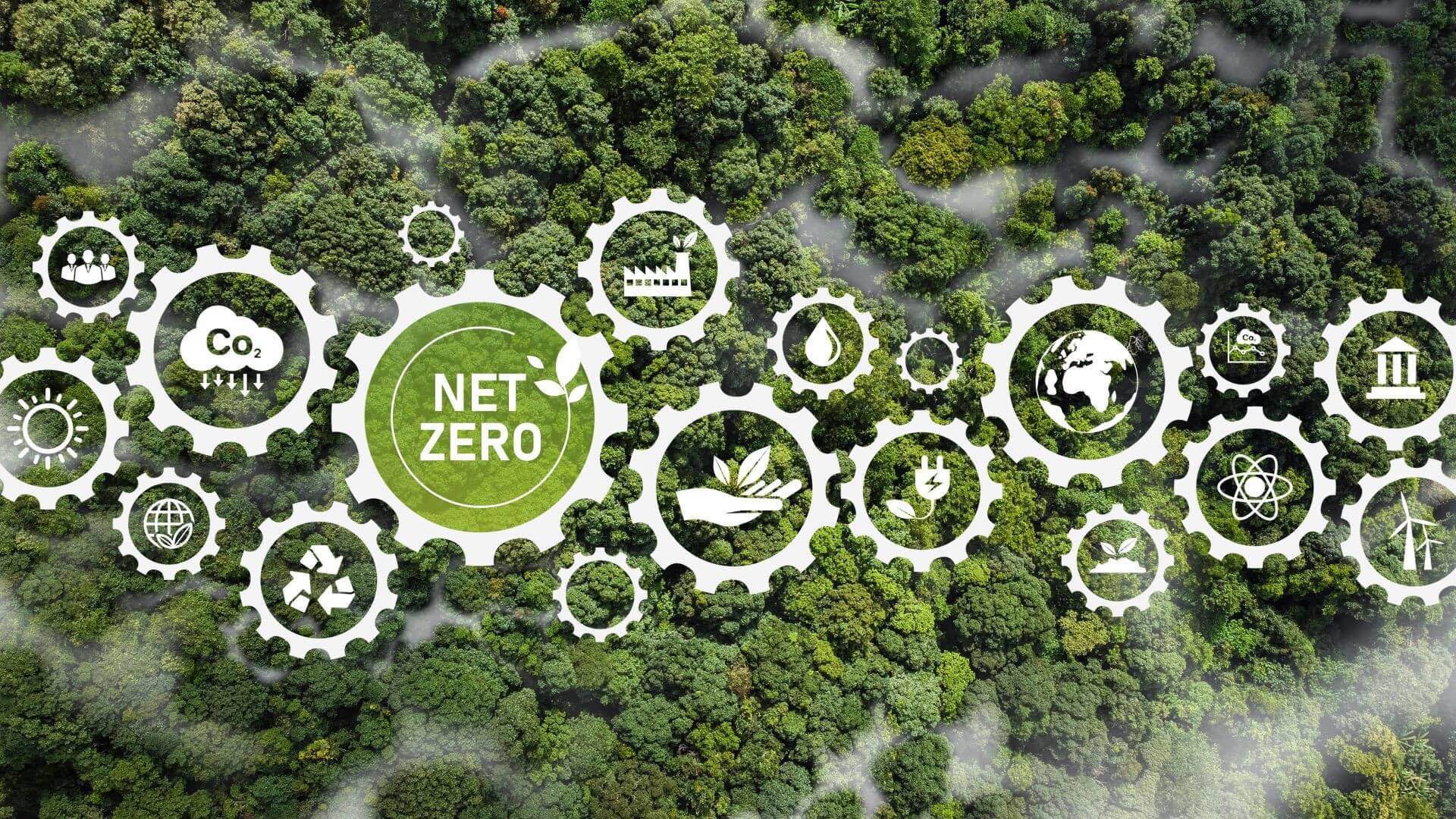 Aerial overview of green forest tree canopy overlaid with computer generated icons of related industry images such as wind turbines