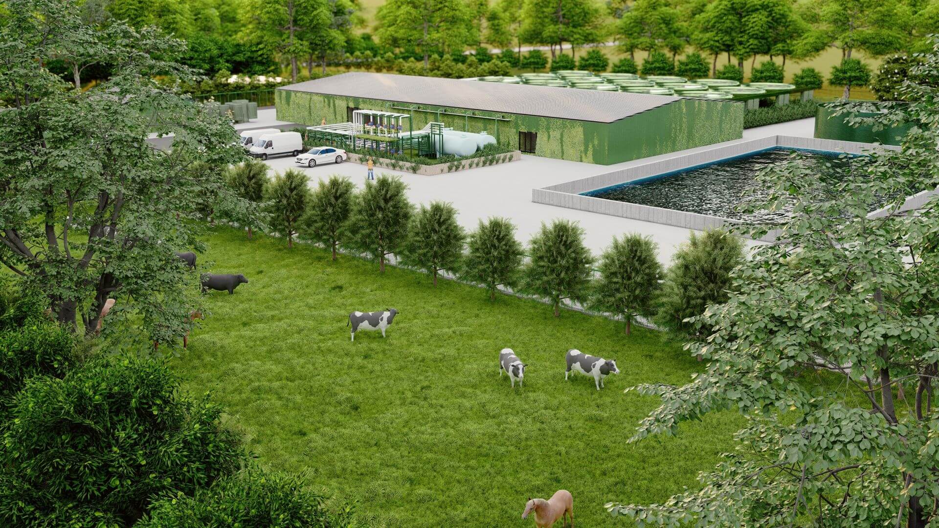 One story building with pipework to front and storage tanks behind with field and cows in foreground