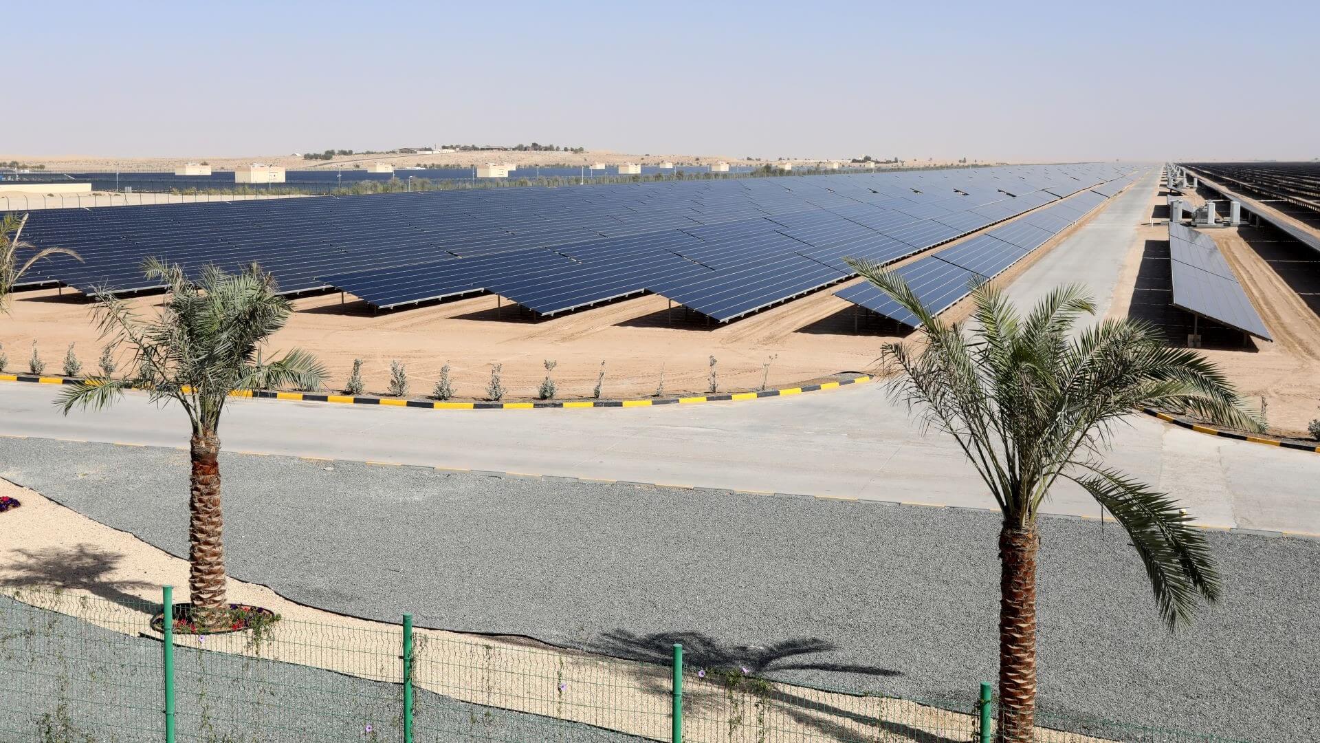 Rows of solar panels in lines in desert with a few palm trees in foreground