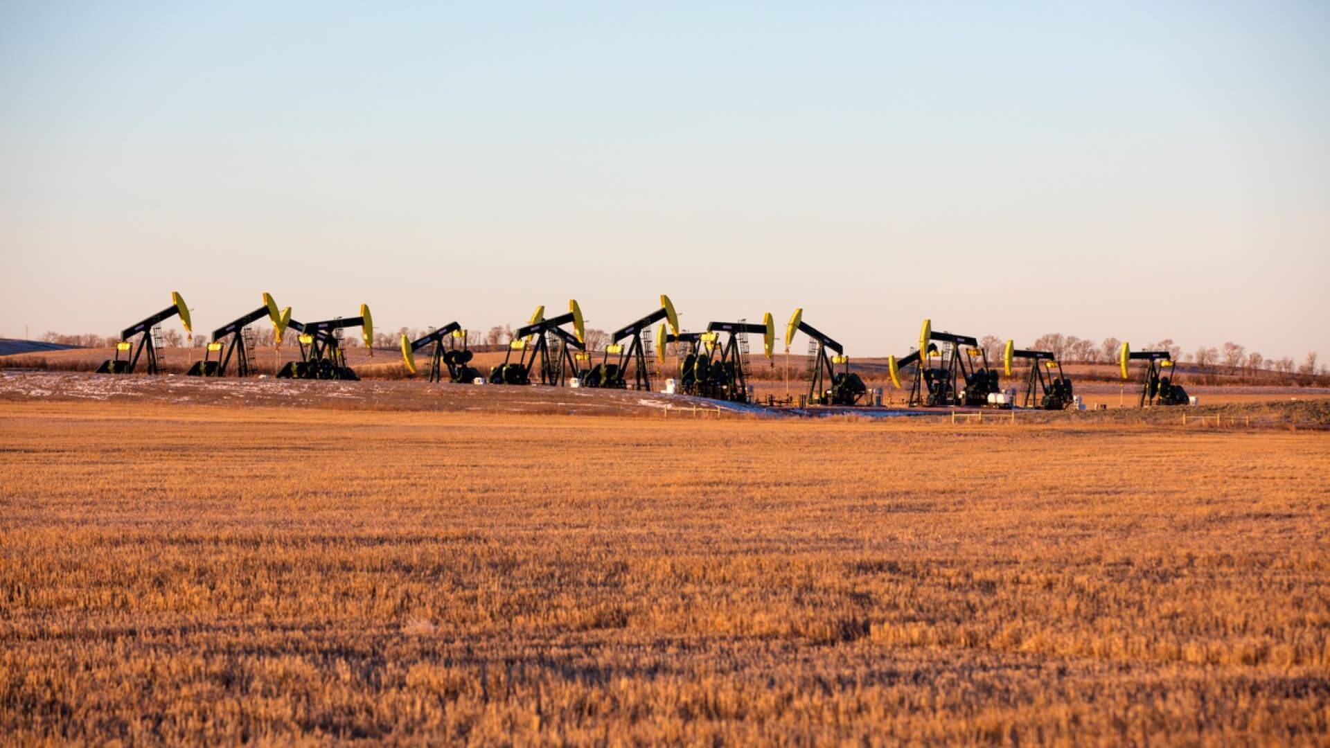 Row of pumpjacks in an oil field