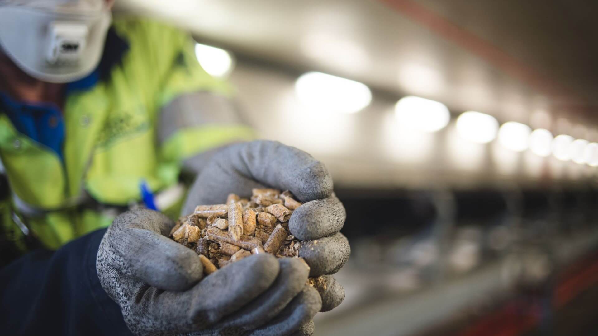 Close up of engineer's gloved hands holding biomass pellets