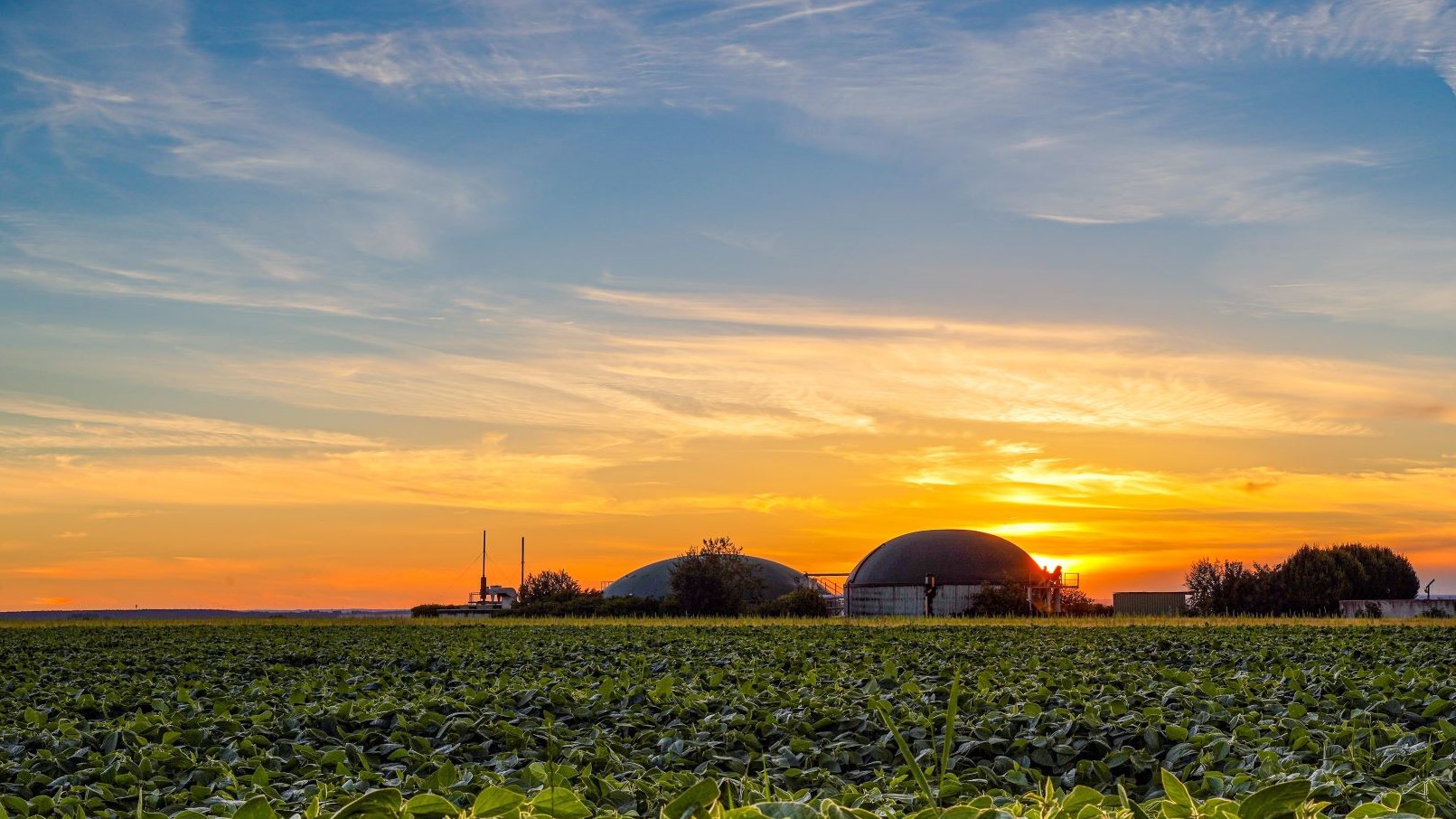Biogas plant and field at sunset