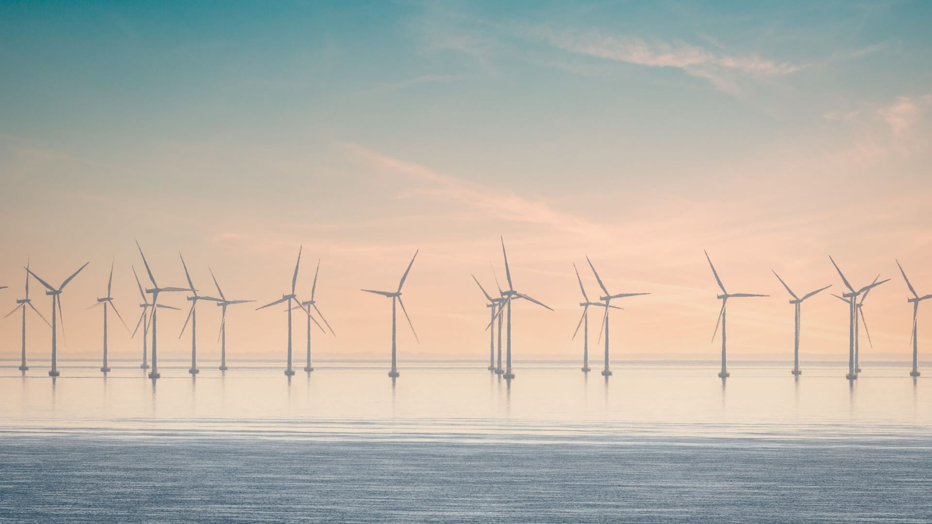 Offshore wind farm on calm water