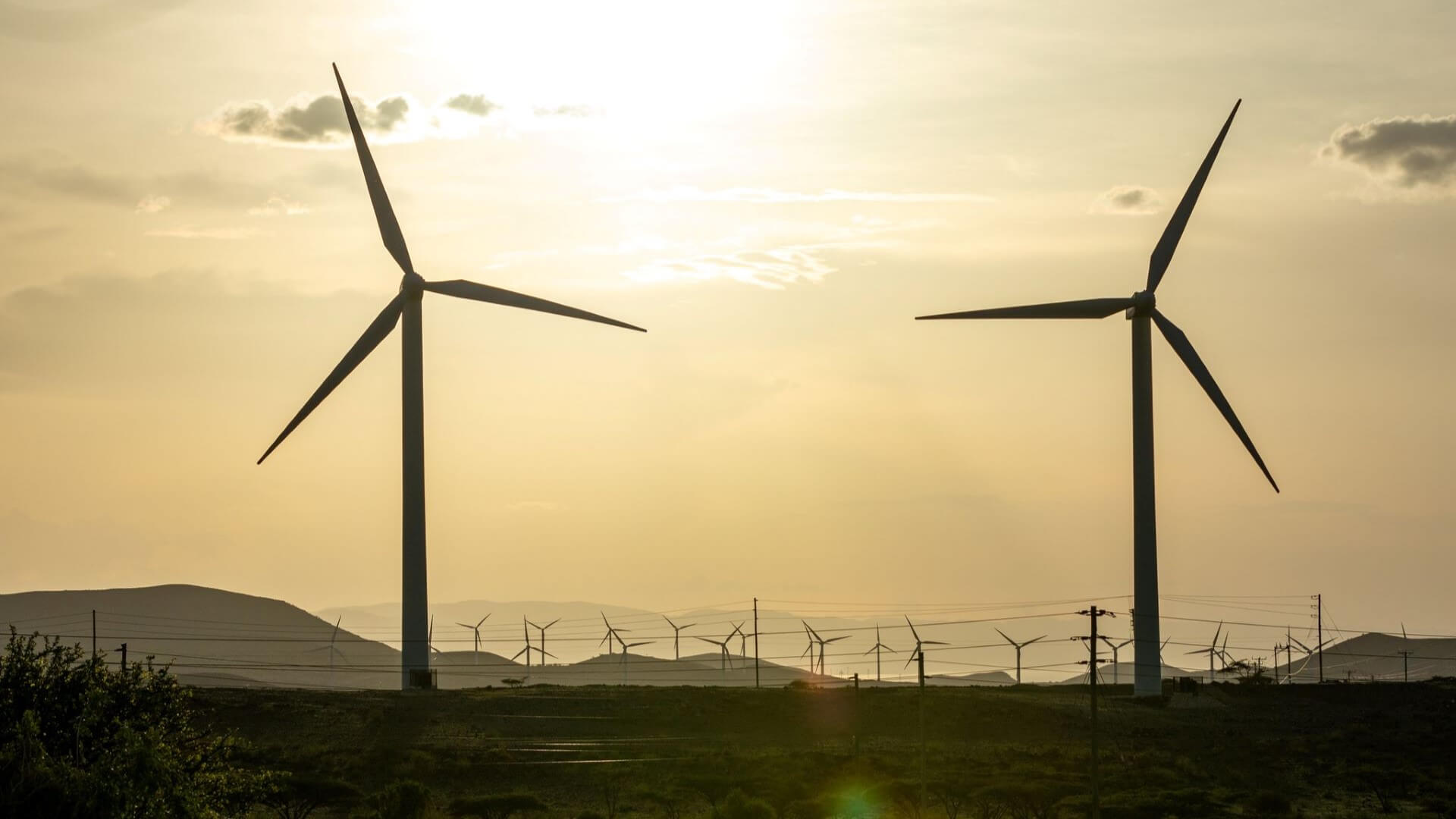 Close up of two onshore wind turbines with others in background