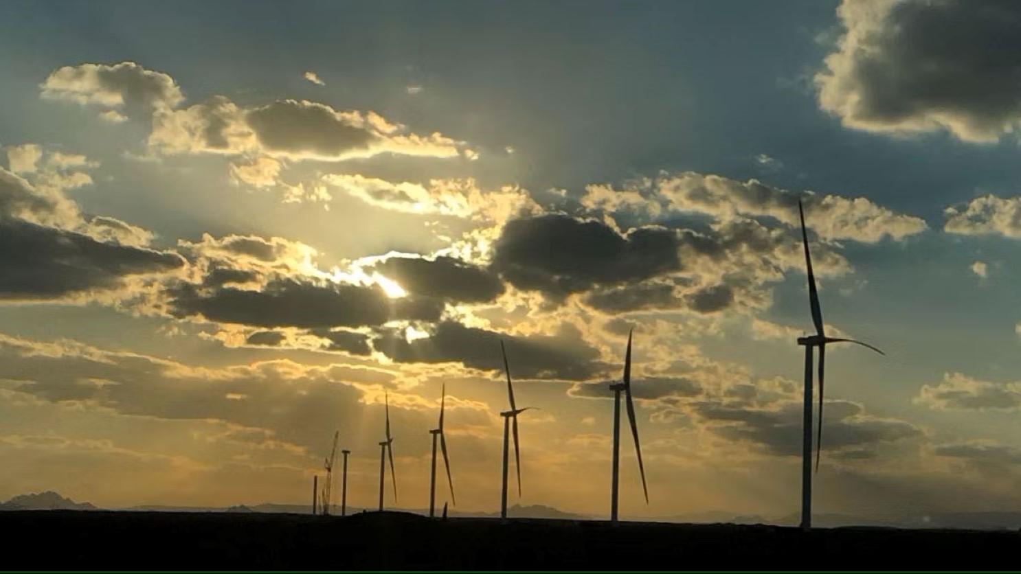 Ras Ghareb wind farm at sunset