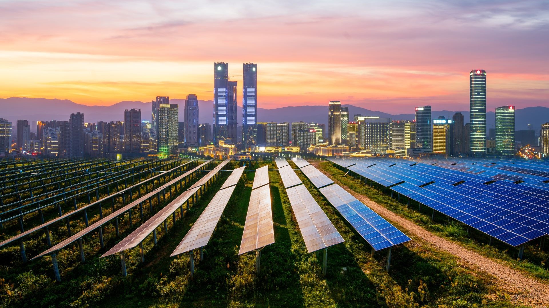 Rows of solar panels in front of Beijing skyline