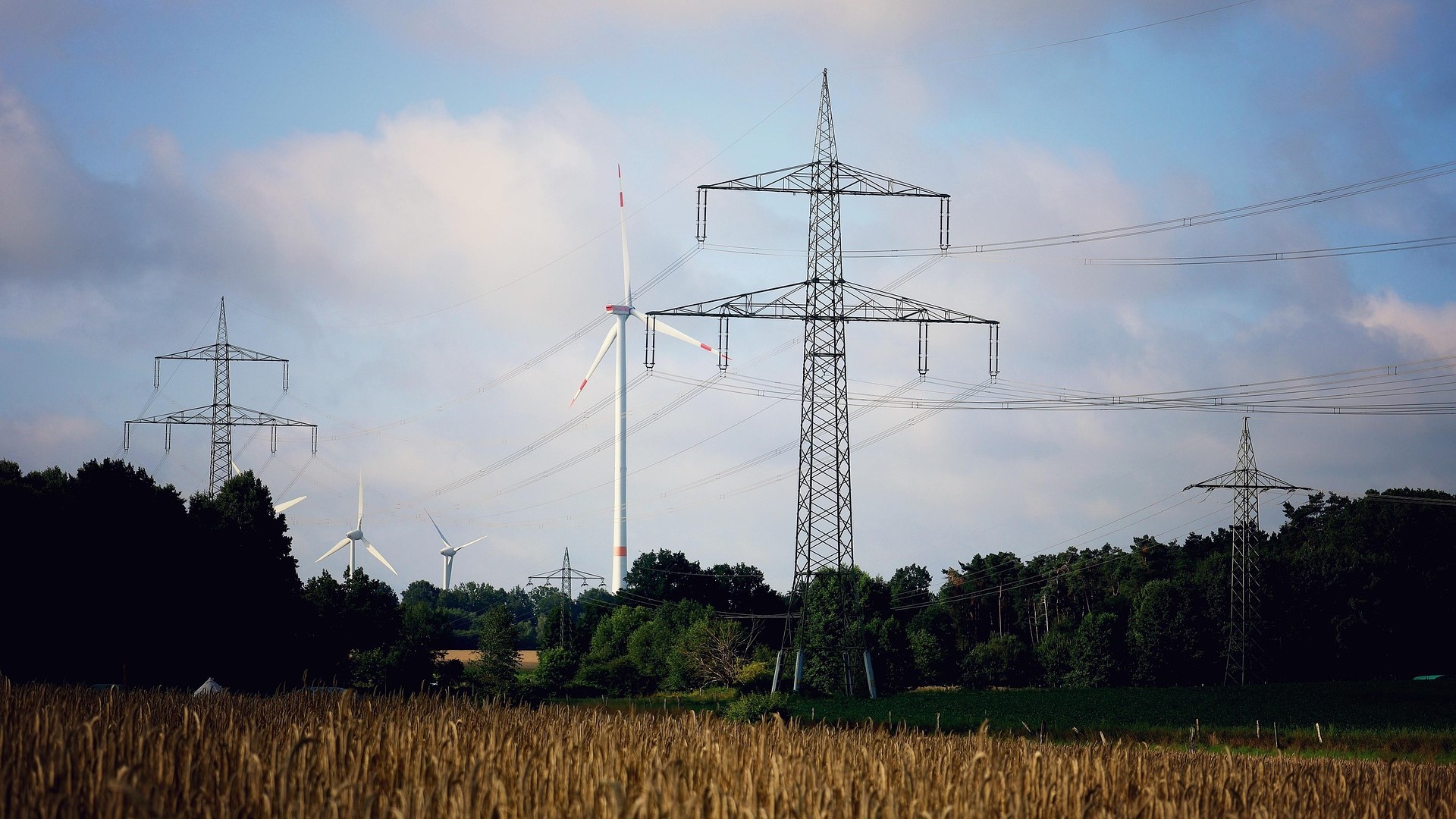 Rows of electricity transmission lines and pylons, and some wind turbines, with corn field and trees in foreground, blue ski and white clouds above